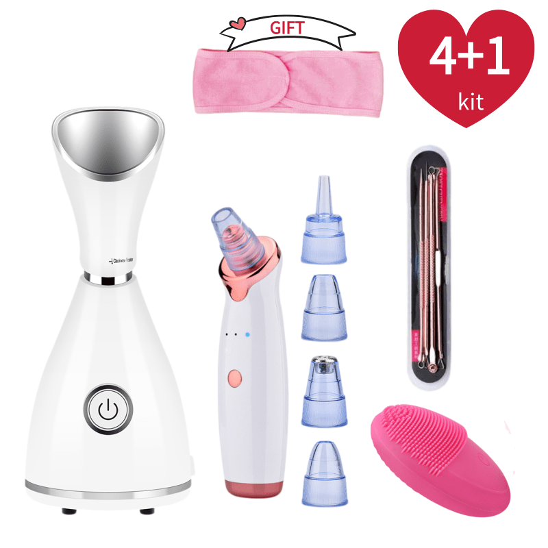 Nano Ionic Facial vaporizer Ho - Facial Steamer Nano review and price