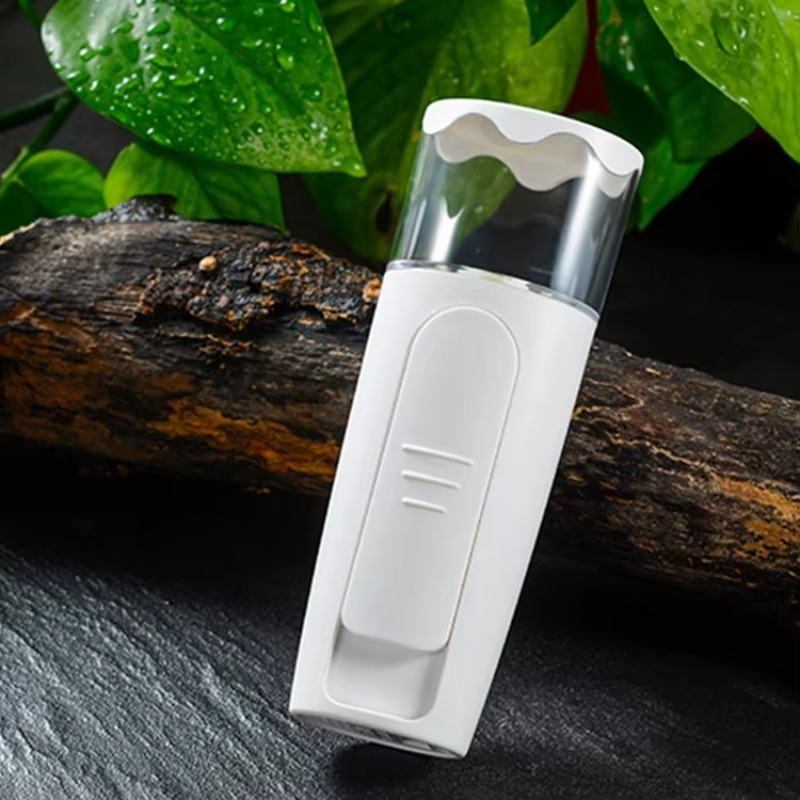 Facial Mini Nano Mister Handhe - Facial Steamer Nano review and price