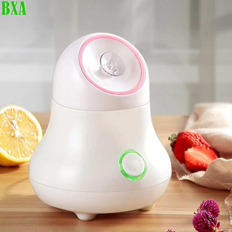 Fruit and Vegetable Facial Ste - Facial Steamer Nano review and price