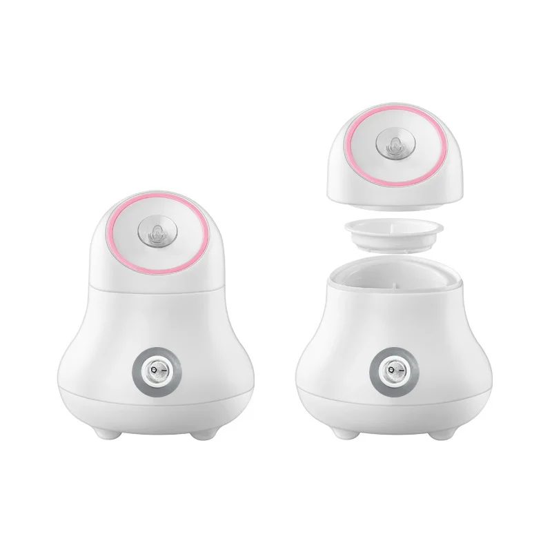 Fruit and Vegetable Facial Ste - Facial Steamer Nano review and price