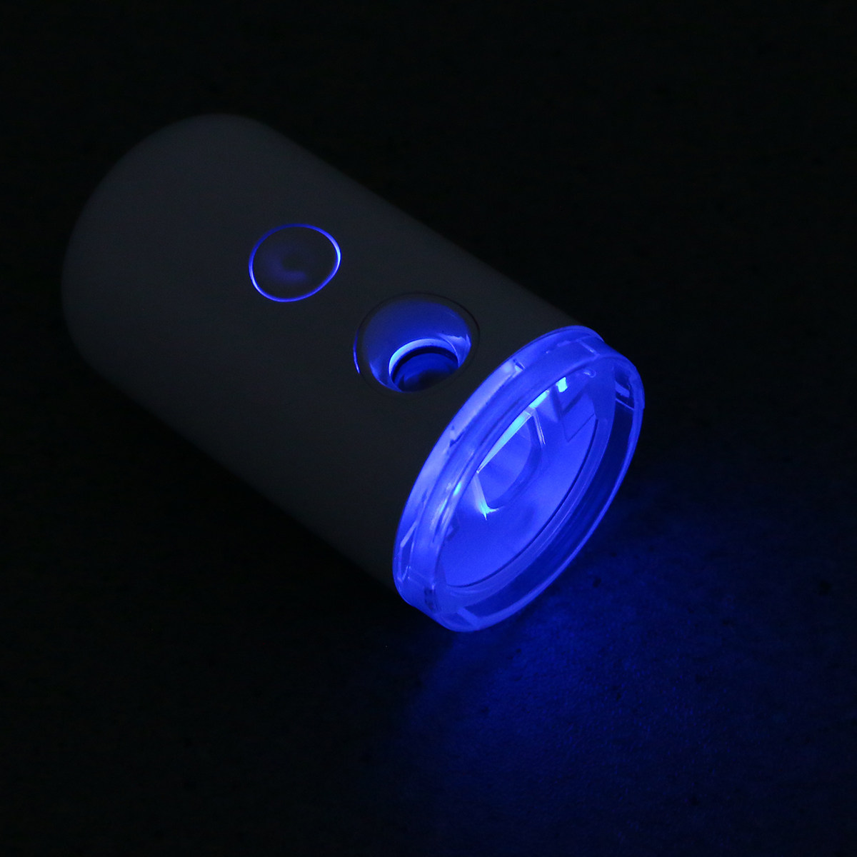 Mini Portable Facial Steamer f - Facial Steamer Nano review and price