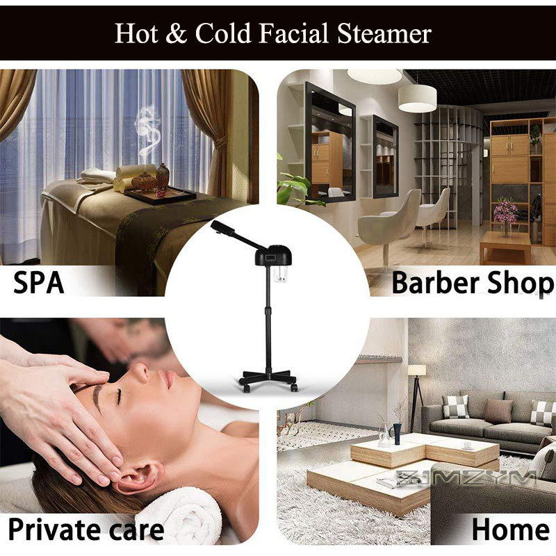 Professional Hot Cold Facial S - Facial Steamer Nano review and price