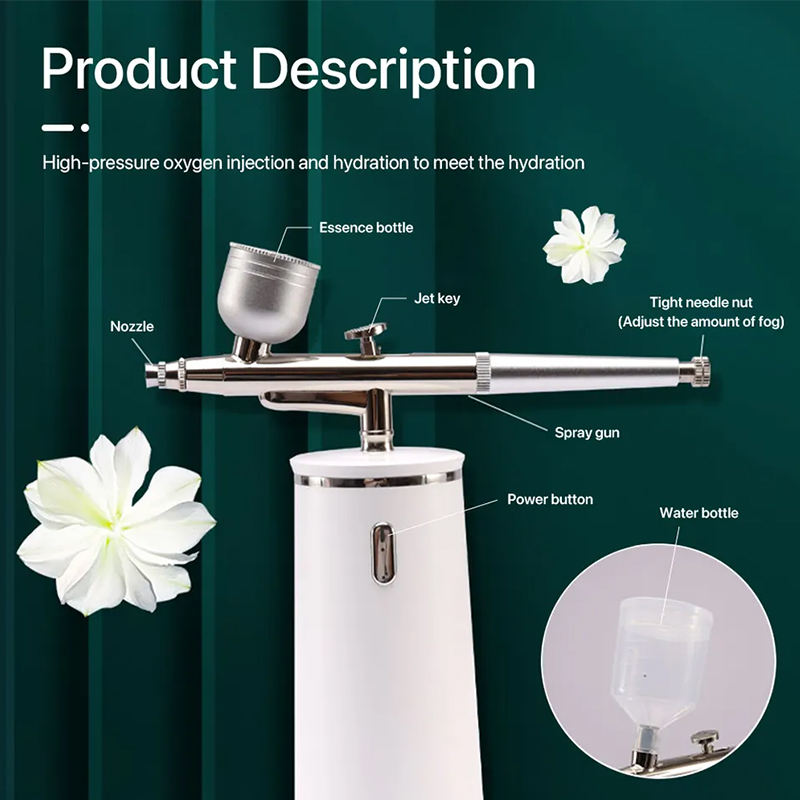 PAKISS Nano Ionic Cold Mist Ai - Facial Steamer Nano review and price